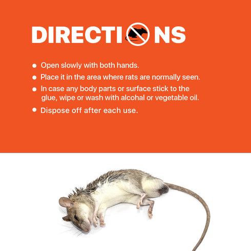 Rat Glue Trap Small - 6 Pcs | WBM HOME